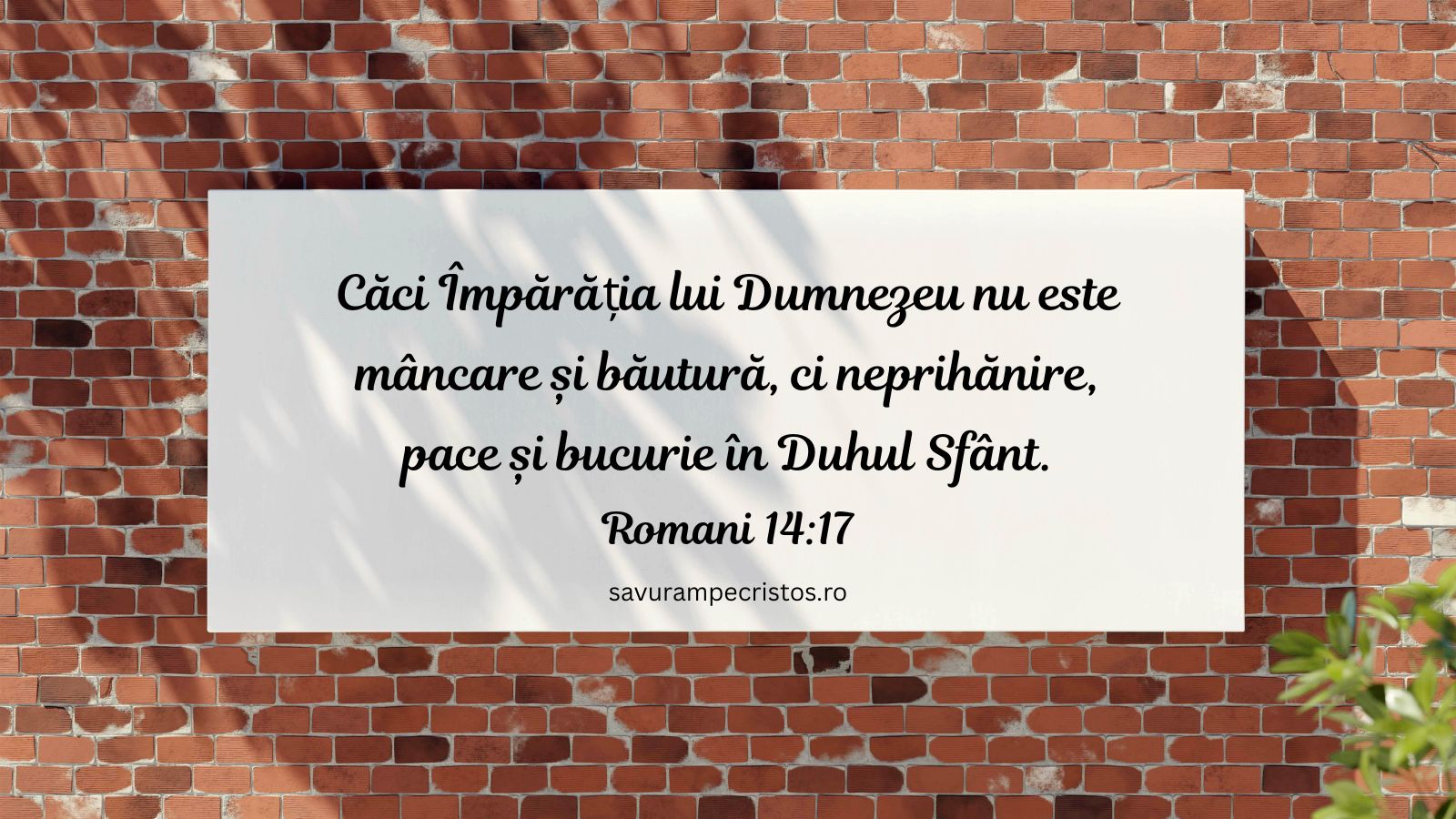 Căci Împărăția lui Dumnezeu nu este mâncare și băutură, ci neprihănire, pace și bucurie în Duhul Sfânt. Romani 14:17