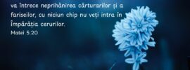 Căci vă spun că, dacă neprihănirea voastră nu va întrece neprihănirea cărturarilor și a fariseilor, cu niciun chip nu veți intra în Împărăția cerurilor. Matei 5:20