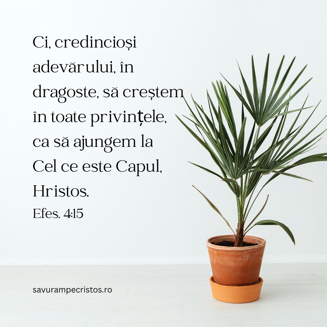 Ci, credincioși adevărului, în dragoste, să creștem în toate privințele, ca să ajungem la Cel ce este Capul, Hristos. Efes. 4:15