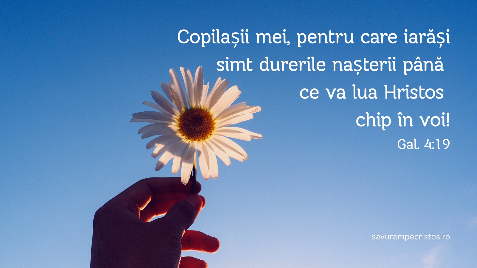 Copilașii mei, pentru care iarăși simt durerile nașterii până ce va lua Hristos chip în voi! Gal. 4:19