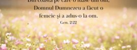 Din coasta pe care o luase din om, Domnul Dumnezeu a făcut o femeie și a adus-o la om. Gen. 2:22