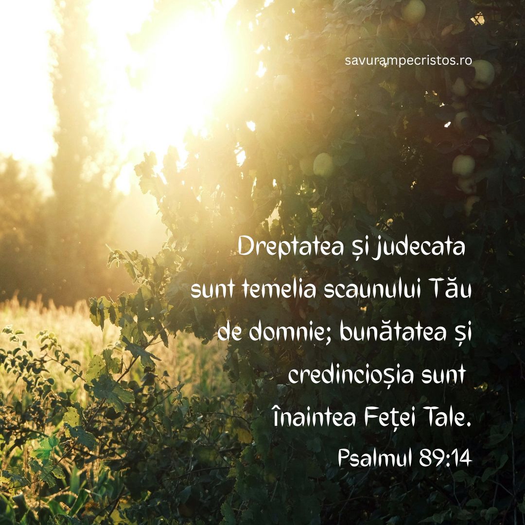 Dreptatea și judecata sunt temelia scaunului Tău de domnie; bunătatea și credincioșia sunt înaintea Feței Tale. Psalmul 89:14