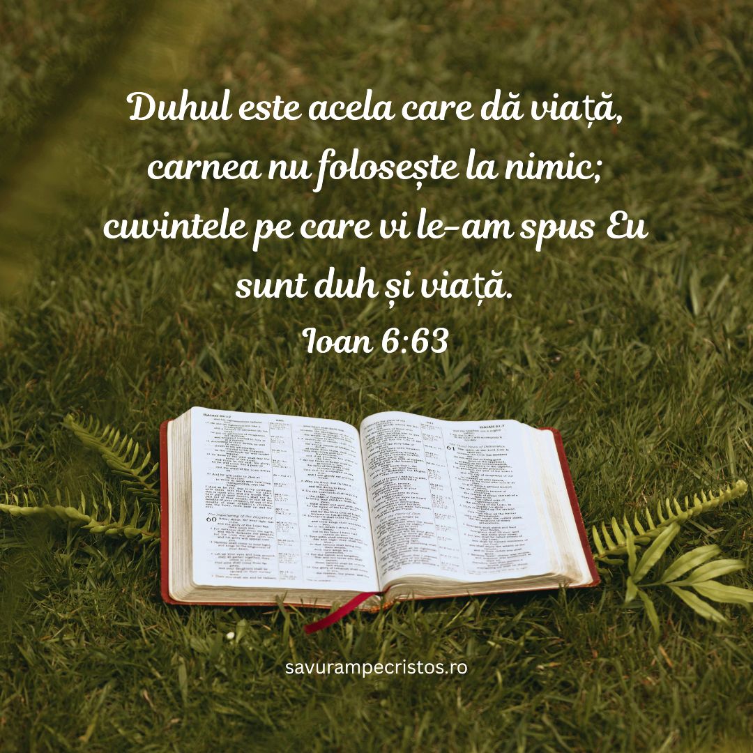 Duhul este acela care dă viață, carnea nu folosește la nimic; cuvintele pe care vi le-am spus Eu sunt duh și viață. Ioan 6:63
