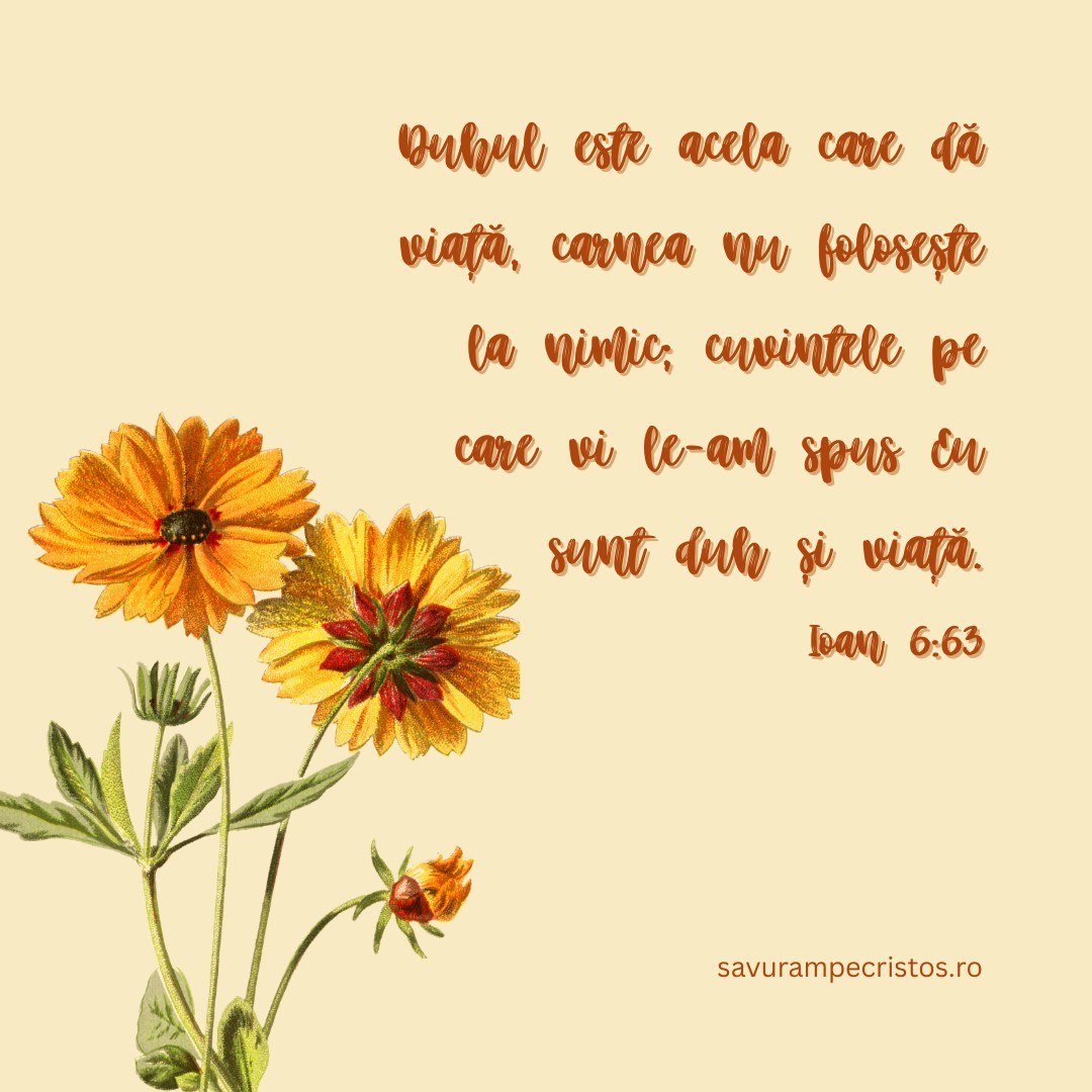 Duhul este acela care dă viață, carnea nu folosește la nimic; cuvintele pe care vi le-am spus Eu sunt duh și viață. Ioan 6:63