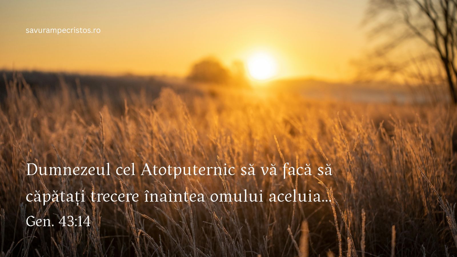 Dumnezeul cel Atotputernic să vă facă să căpătați trecere înaintea omului aceluia... Gen. 43:14
