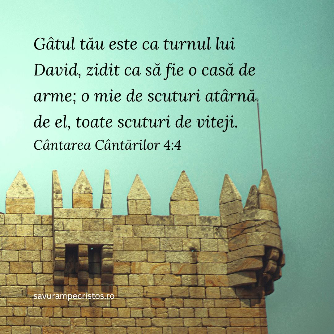 Gâtul tău este ca turnul lui David, zidit ca să fie o casă de arme; o mie de scuturi atârnă de el, toate scuturi de viteji. Cântarea Cântărilor 4:4