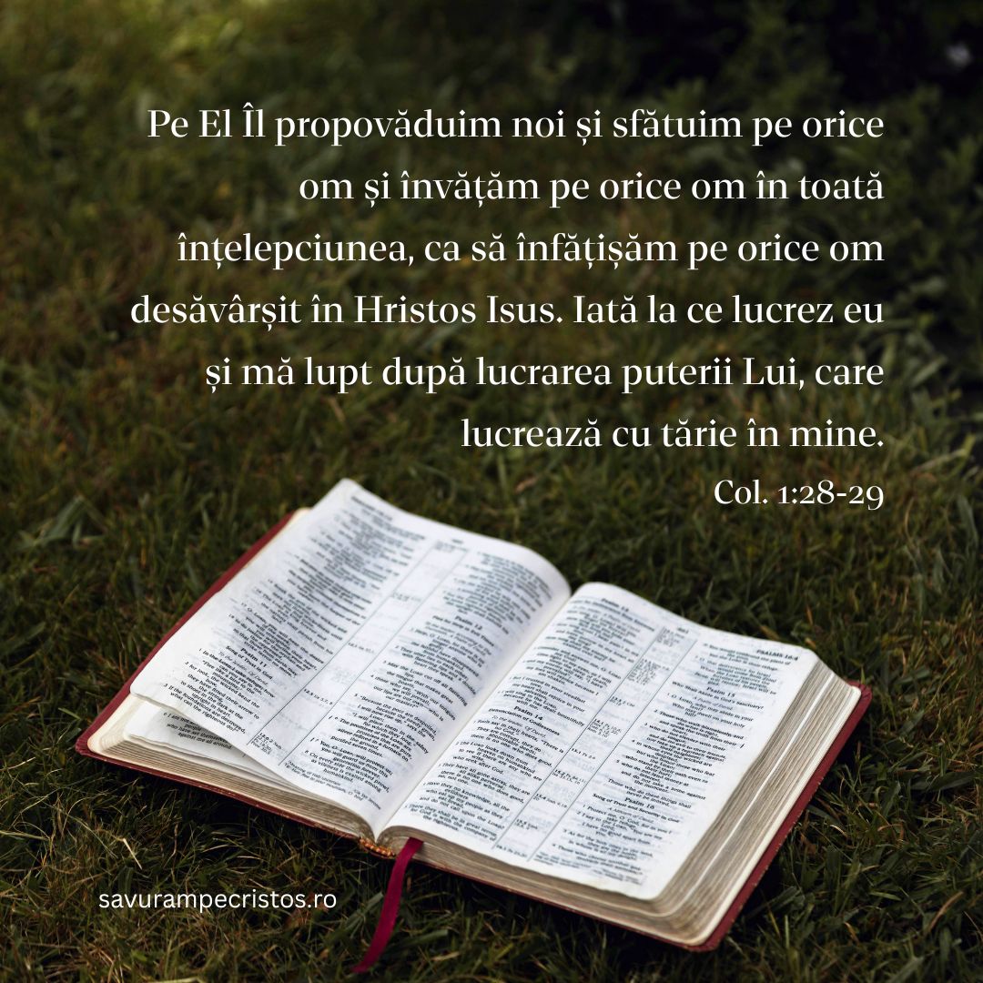 Pe El Îl propovăduim noi și sfătuim pe orice om și învățăm pe orice om în toată înțelepciunea, ca să înfățișăm pe orice om desăvârșit în Hristos Isus. Iată la ce lucrez eu și mă lupt după lucrarea puterii Lui, care lucrează cu tărie în mine. Col. 1:28-29