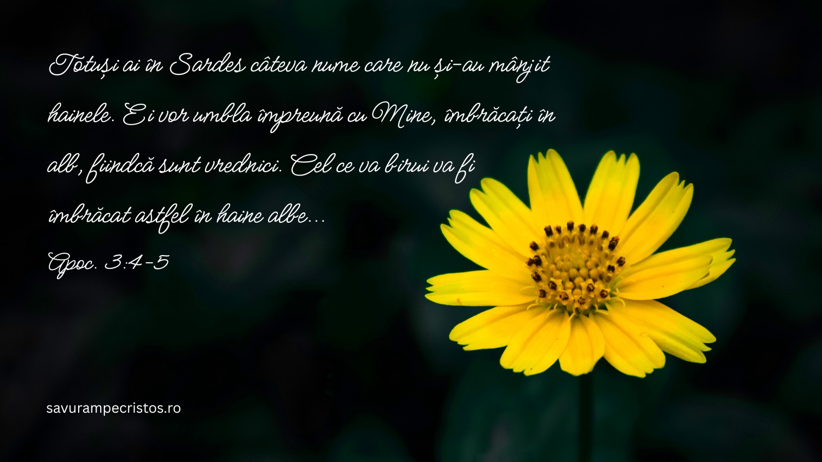 Totuși ai în Sardes câteva nume care nu și-au mânjit hainele. Ei vor umbla împreună cu Mine, îmbrăcați în alb, fiindcă sunt vrednici. Cel ce va birui va fi îmbrăcat astfel în haine albe... Apoc. 3:4-5
