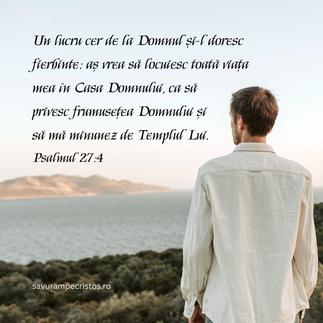 Un lucru cer de la Domnul și-l doresc fierbinte: aș vrea să locuiesc toată viața mea în Casa Domnului, ca să privesc frumusețea Domnului și să mă minunez de Templul Lui. Psalmul 27:4