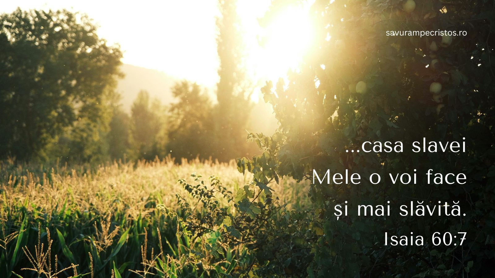 ...casa slavei Mele o voi face și mai slăvită. Isaia 60:7