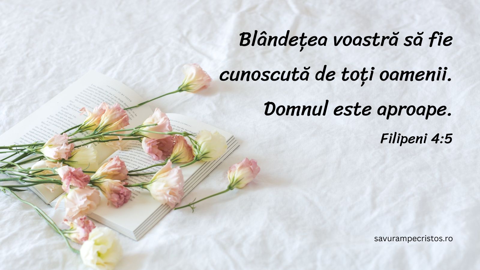 Blândețea voastră să fie cunoscută de toți oamenii. Domnul este aproape. Filipeni 4:5
