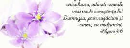 Nu vă îngrijorați de nimic, ci, în orice lucru, aduceți cererile voastre la cunoștința lui Dumnezeu, prin rugăciuni și cereri, cu mulțumiri. Filipeni 4:6