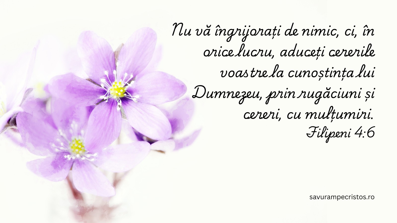 Nu vă îngrijorați de nimic, ci, în orice lucru, aduceți cererile voastre la cunoștința lui Dumnezeu, prin rugăciuni și cereri, cu mulțumiri. Filipeni 4:6