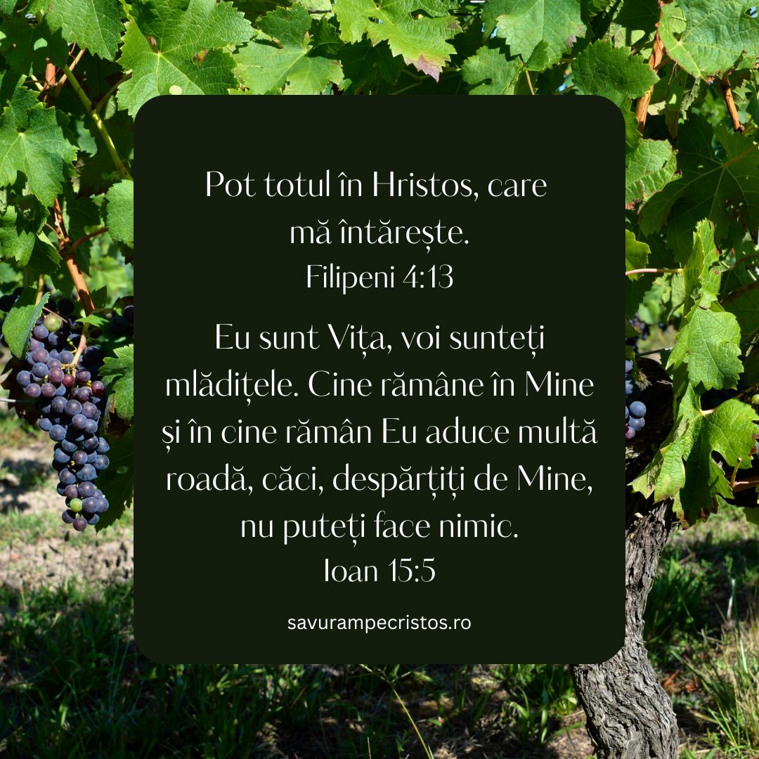 Pot totul în Hristos, care mă întărește. Filipeni 4:13 Eu sunt Vița, voi sunteți mlădițele. Cine rămâne în Mine și în cine rămân Eu aduce multă roadă, căci, despărțiți de Mine, nu puteți face nimic. Ioan 15:5